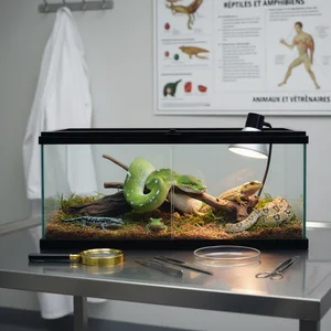 Reptiles et Amphibiens