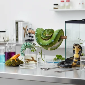 Reptiles et Amphibiens