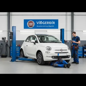 Fiat Viðgerðir